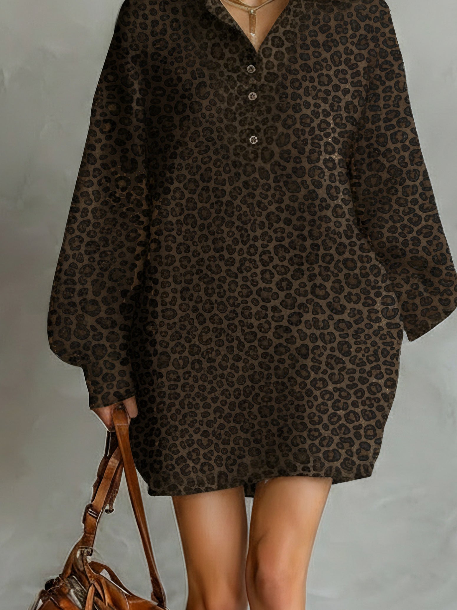 Celeste | Leopard Print Long Sleeve Dress